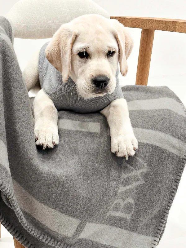 cashmere-dog-hoodie