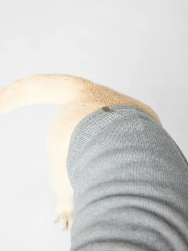 cashmere-dog-hoodie