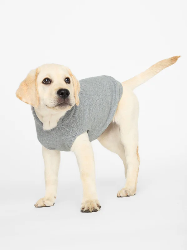 cashmere-dog-hoodie