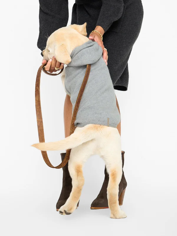 cashmere-dog-hoodie