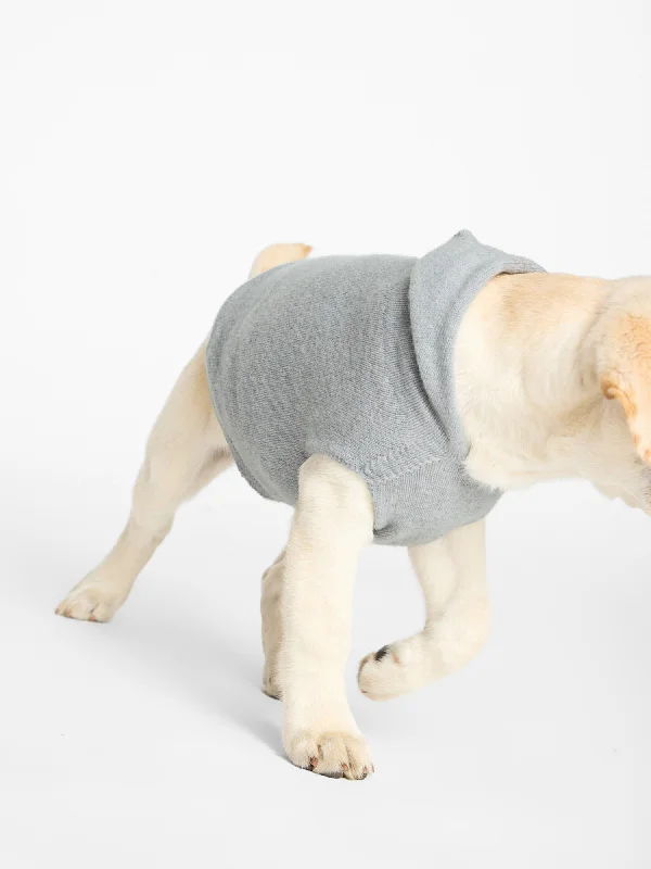 cashmere-dog-hoodie