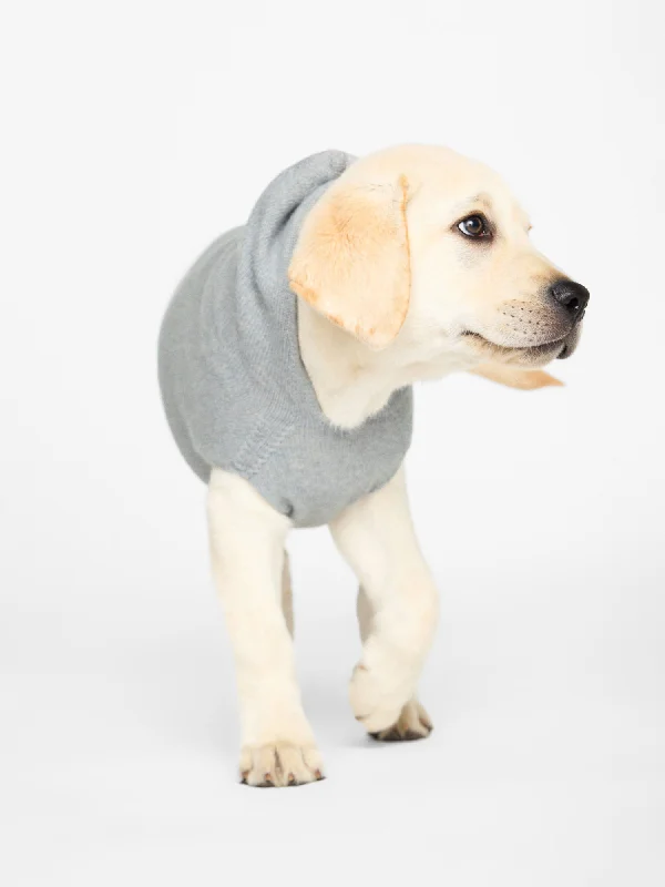 cashmere-dog-hoodie