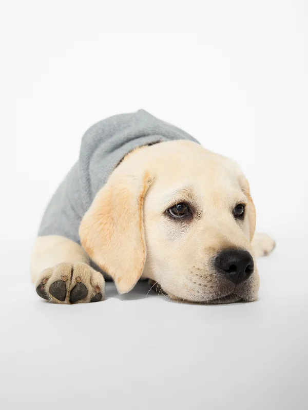 cashmere-dog-hoodie